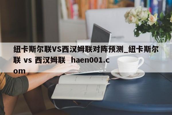 纽卡斯尔联VS西汉姆联对阵预测_纽卡斯尔联 vs 西汉姆联  haen001.com